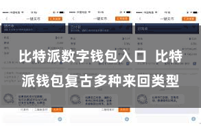 比特派数字钱包入口  比特派钱包复古多种来回类型